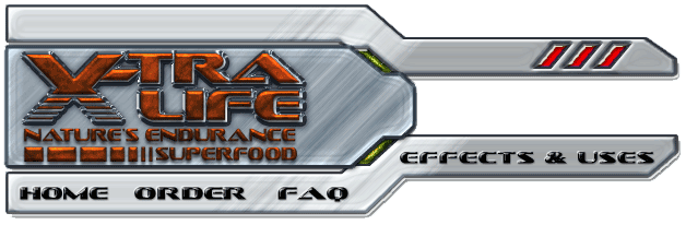 X-Tra Life Video Game Food Header